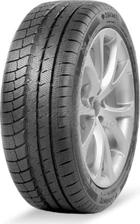 Davanti Wintoura+ 225/55 R17 101V XL