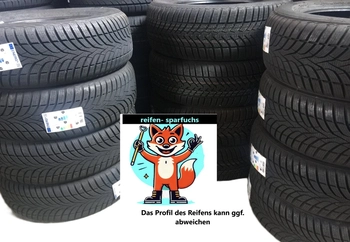 Fortuna Winter 195/65 R15  91T
