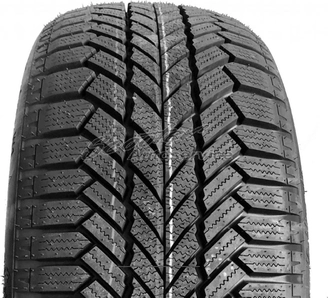 Giti Tire GitiWinter W1 205/55 R16  91H