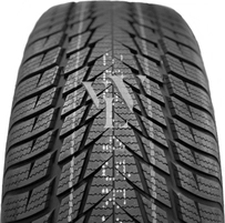 Fortuna Winter 215/40 R17  87V XL