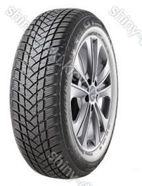 GT Radial WinterPro2