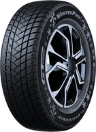  GT Radial Winterpro 2 205/55 R17  95H XL 