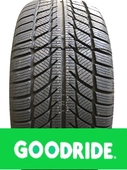 Goodride SW608 195/55 R16  87H