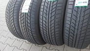 Goodride SW608 225/55 R16  99H XL