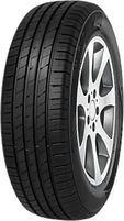 Imperial Ecosport SUV 295/35 R21 107Y XL