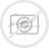  Linglong Sport Master Winter 245/45 R18 100W XL 