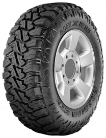 Nexen/Roadstone Roadian MTX RM7