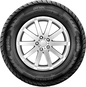 Apollo Alnac Winter 155/70 R13  75T