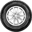 Apollo Alnac Winter 205/55 R16  91T
