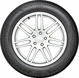Bridgestone Weather Control A005 Evo 195/50 R15 82V
