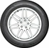 Bridgestone Weather Control A005 Evo 255/55 R19 111W XL