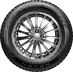 Nexen Winguard WinSpike 175/70 R13  82T