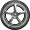 Semperit Speed-Grip 5 205/50 R17 93V XL FR