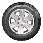 Bridgestone Blizzak W810