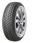 GT Radial WinterPro2